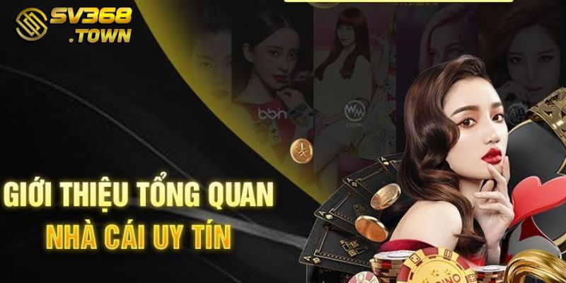 Giới thiệu tổng quan nhà cái SV368 