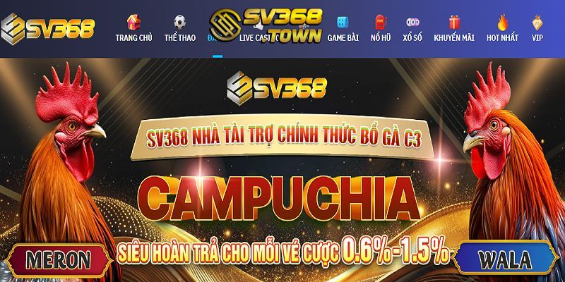 Dữ liệu sơ lược về Đá Gà tại SV368