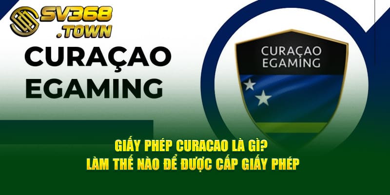 Giấy Phép Curacao Là Gì? Quy Trình Sở Hữu Giấy Phép